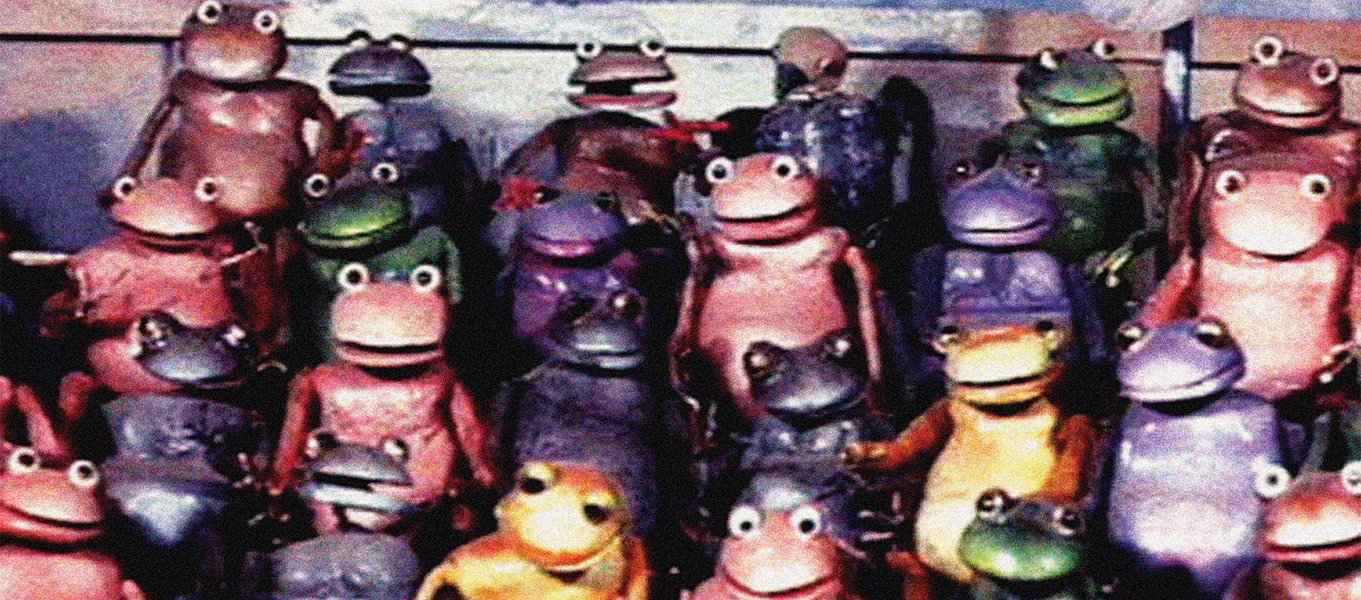 Group of frogs