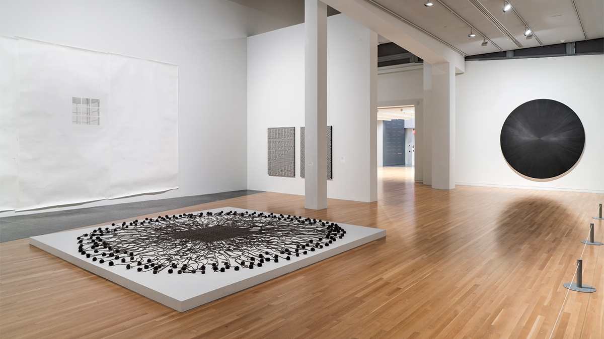 Gray Matters installation shot in Wexner Center galleries