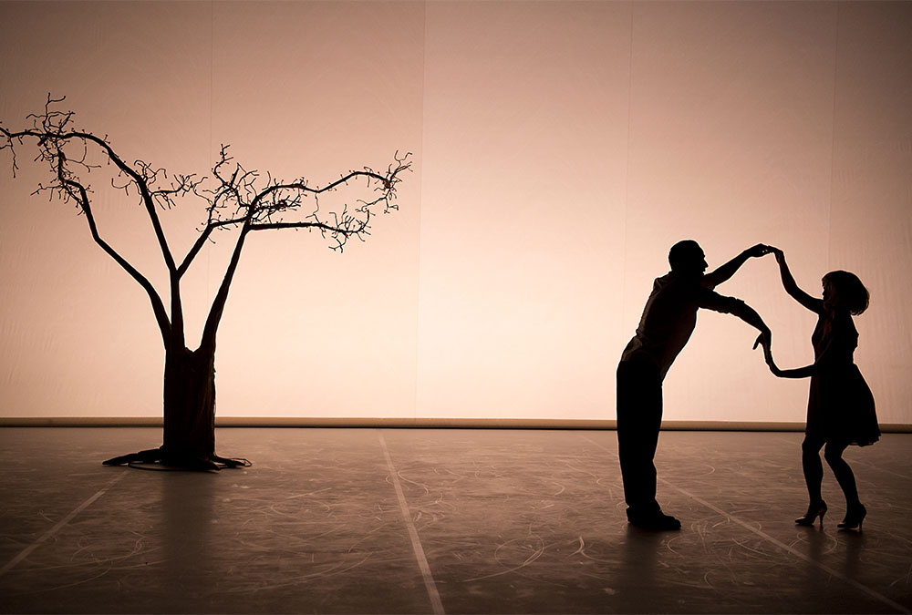 silhouette of man and woman dancing next to tree