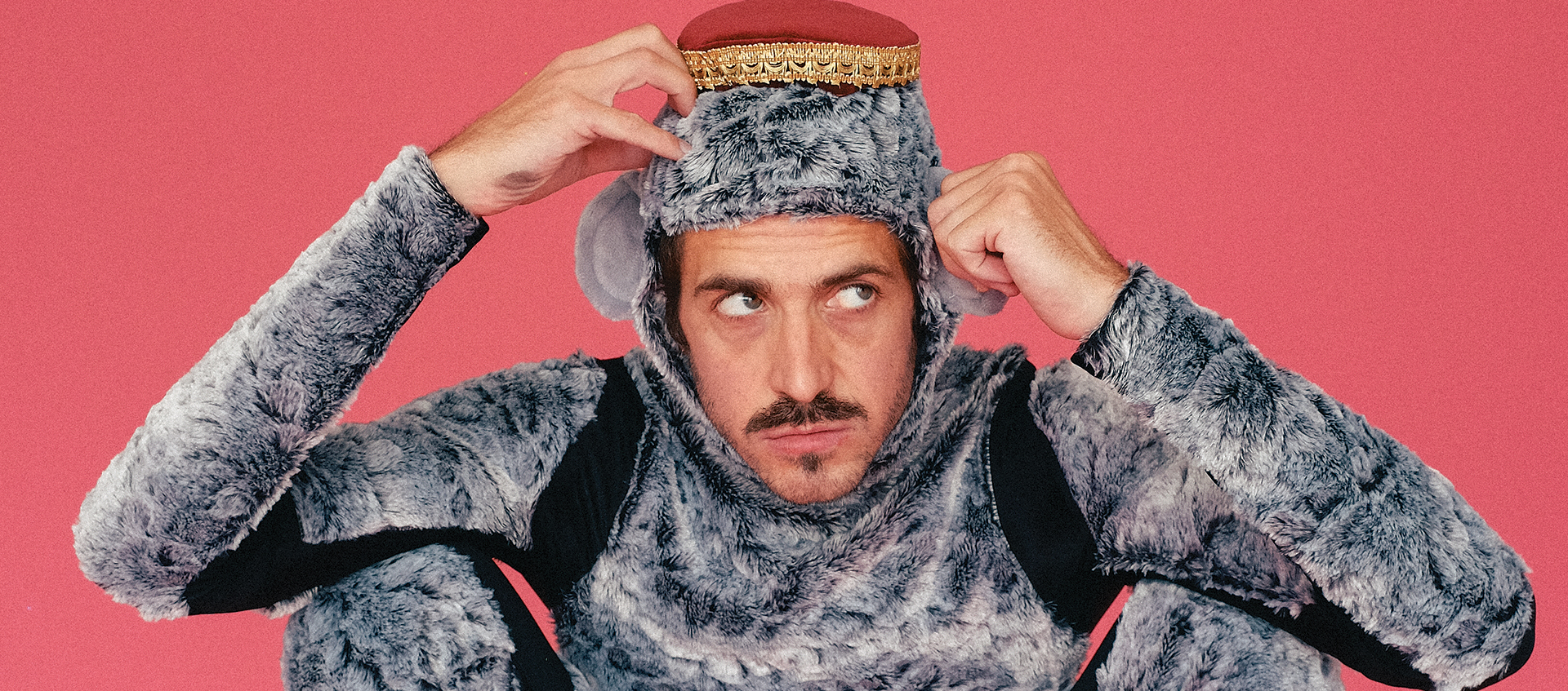 A male dancers squats in a grey fuzzy bear costume against a pink background in a promotional image for FluxFlow Dance Project's world premiere performance of Ursula at the Wexner Center for the Arts