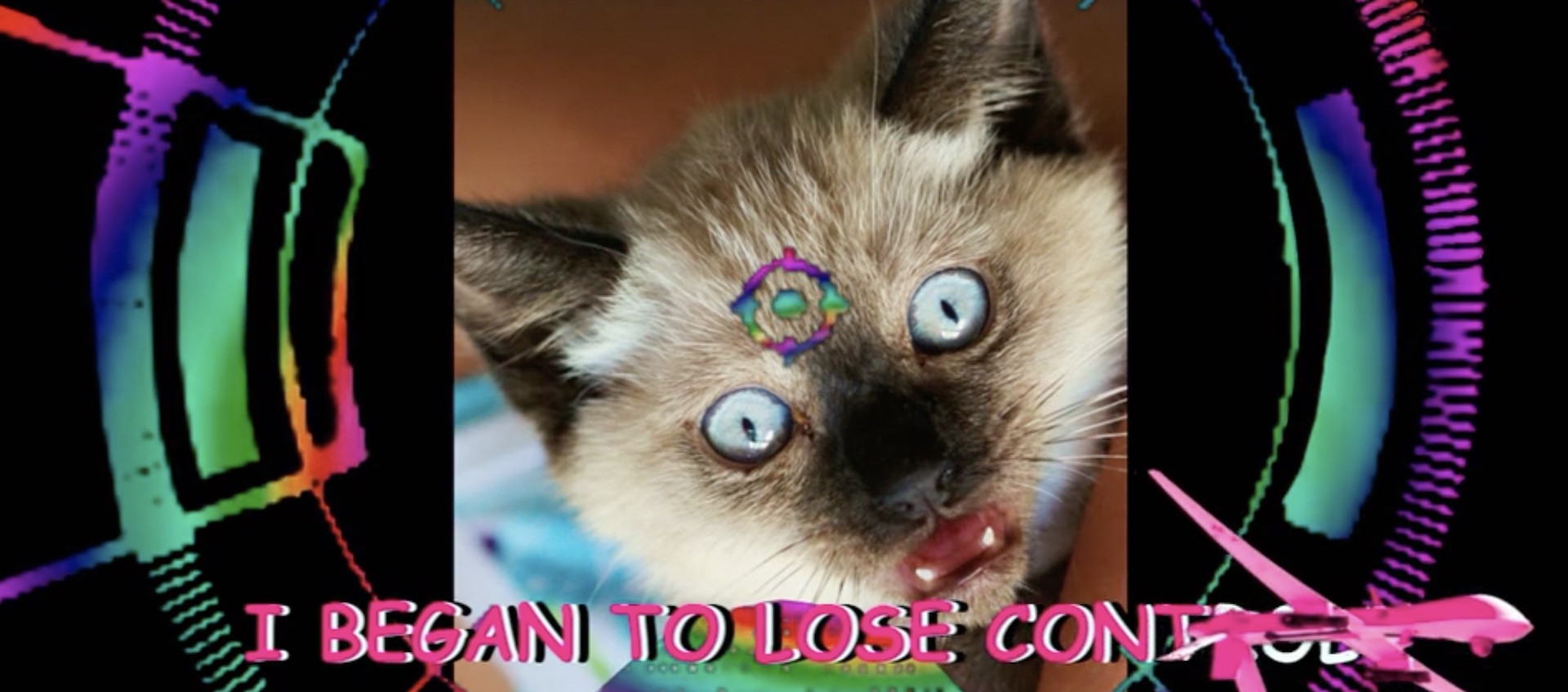 An altered image of a cat with wide eyes about karaoke lyrics that read "I began to lose control" from a work by the art collective Chicks on Speed