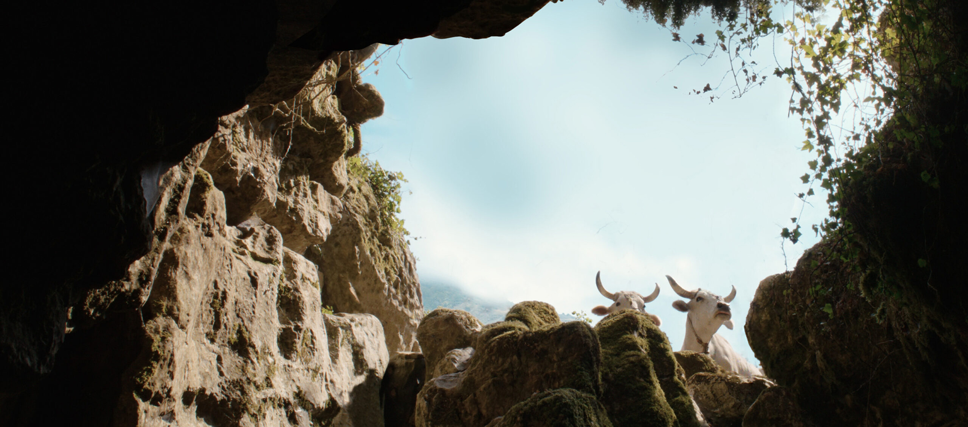 Two white, horned mountain goats peering over moss-covered rock at the opening of a cave. There is foliage hanging down from the top of the cave on the right, and the background is a bright blue sky with a rocky mountain on the left.